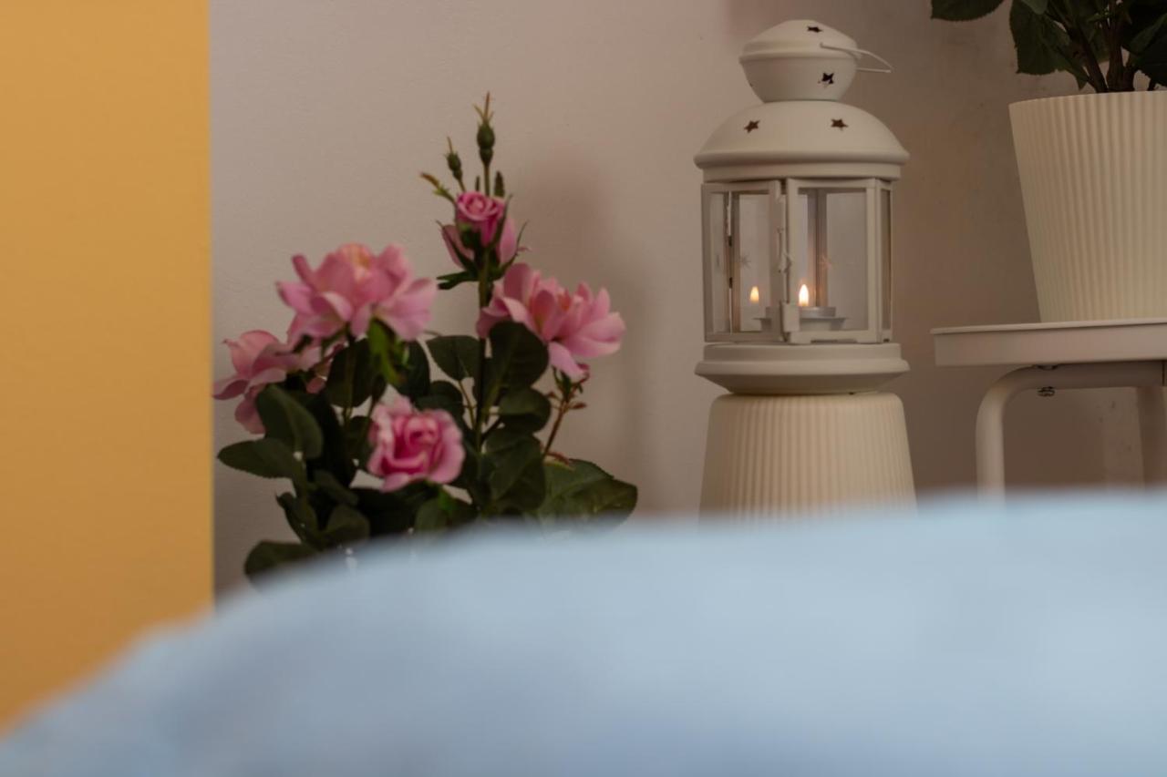 Apartman Monika オミシュ エクステリア 写真